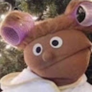 Meet your Posher, Mandi